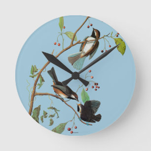 Audubon: Chickadee Runde Wanduhr