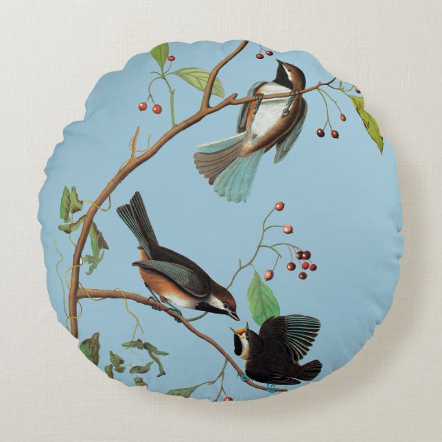Audubon: Chickadee Rundes Kissen (Vorderseite)
