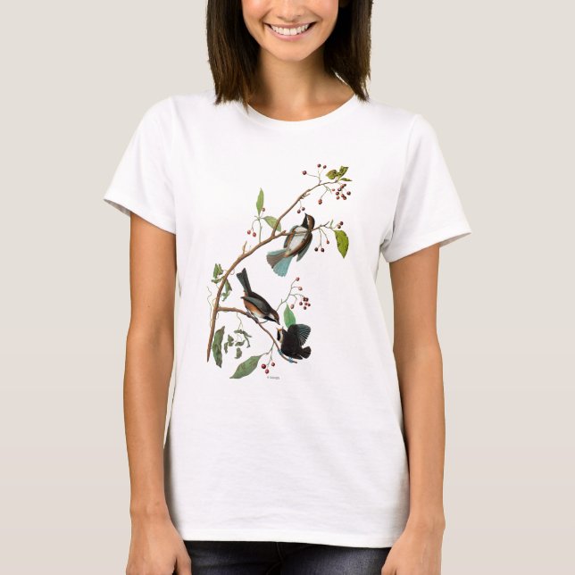 Audubon: Chickadee T-Shirt (Vorderseite)