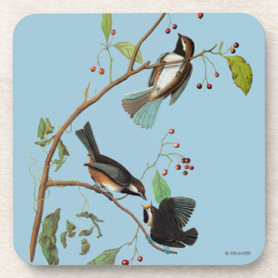 Audubon: Chickadee Untersetzer