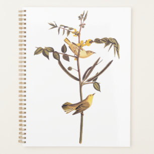 Audubon Children's Warbler Songbird Planer