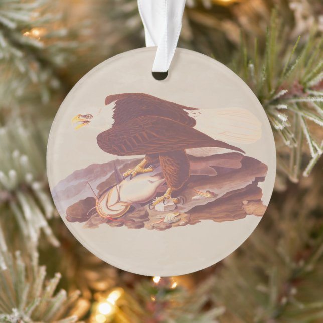 Audubon Classic Bald Eagle mit frischem Fisch Ornament (Baum)