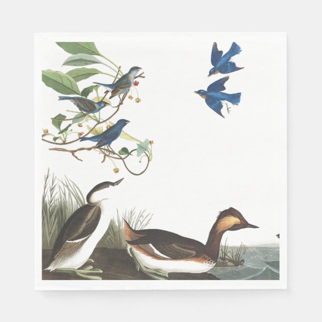 Audubon Collage Birds Wildlife Paper Napkins Serviette (Vorderseite)