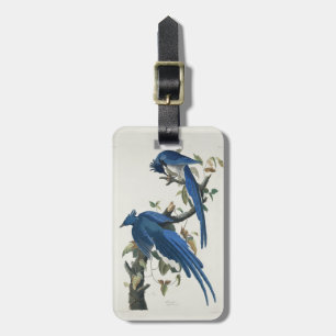 Audubon Columbia Jay Black Throated Magpie Jay Gepäckanhänger