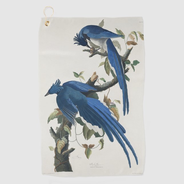 Audubon Columbia Jay Black Throated Magpie Jay Golfhandtuch (Vorderseite)
