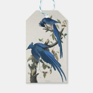 Audubon Columbia Jay Schwarzkopf Elsterjay Geschenkanhänger