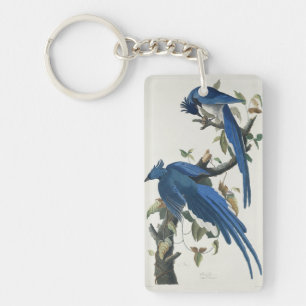 Audubon Columbia Jay Schwarzkopf Elsterjay Schlüsselanhänger