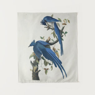 Audubon Columbia Jay Schwarzkopf Elsterjay Wandteppich