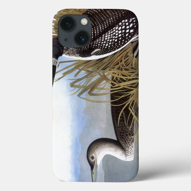 Audubon: Common Loon Case-Mate iPhone Hülle (Rückseite)