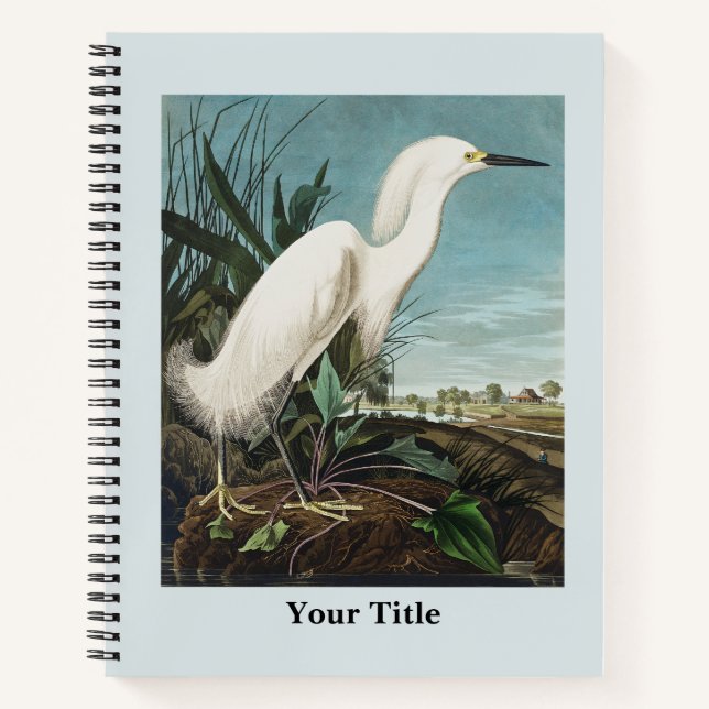 Audubon Crane Historische Tierwelt Zeichnend Notizbuch (Vorderseite)