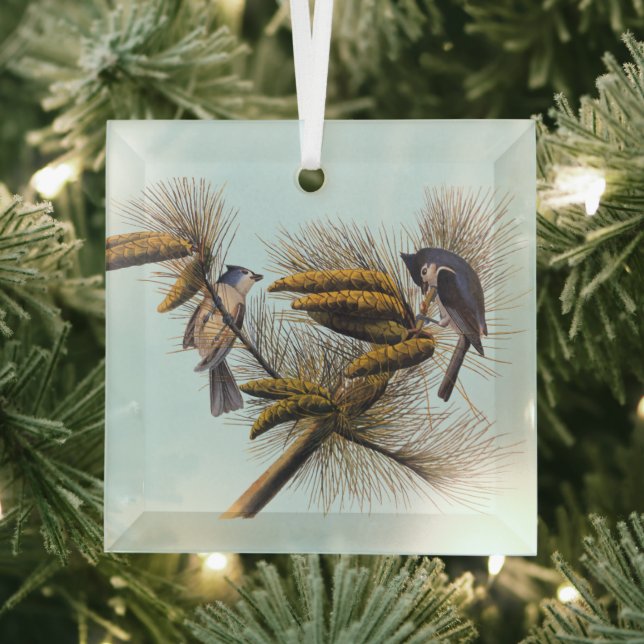 Audubon Crested Titmouse Birds in Pine Tree Ornament Aus Glas (Insitu)