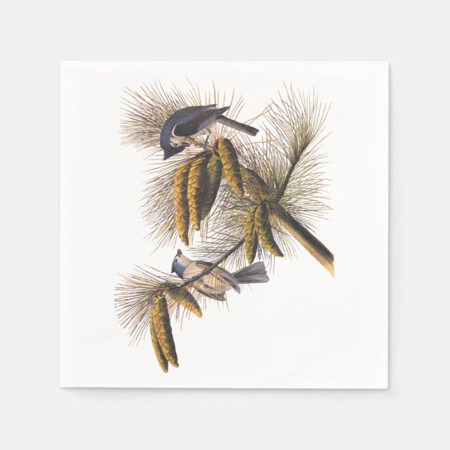 Audubon Crested Titmouse Cocktail Napkins Serviette (Vorderseite)