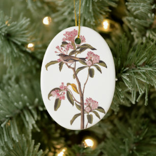 Audubon Cuviers Kinglet Mystery Bird Keramik Ornament