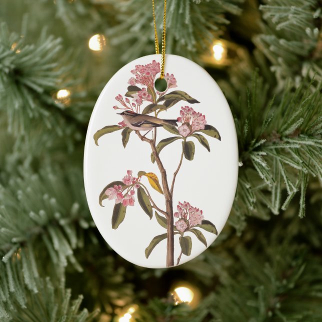 Audubon Cuviers Kinglet Mystery Bird Keramik Ornament (Baum)