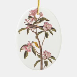 Audubon Cuviers Kinglet Mystery Bird Keramik Ornament