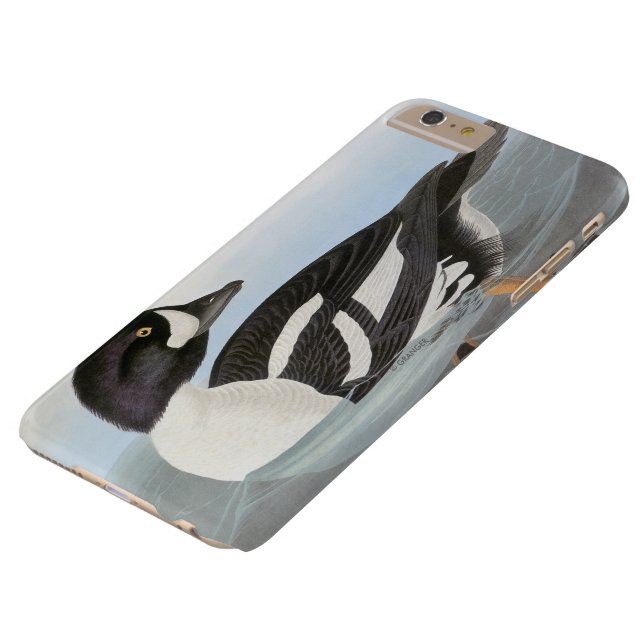 Audubon: Der Goldeneye des Karrens Case-Mate iPhone Hülle (Oberseite)