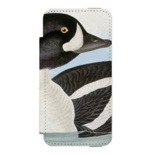 Audubon: Der Goldeneye des Karrens Incipio Watson™ iPhone 5 Geldbörsen Hülle