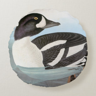 Audubon: Der Goldeneye des Karrens Rundes Kissen