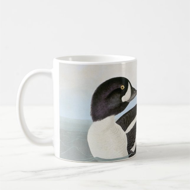 Audubon: Der Goldeneye des Karrens Tasse (Links)