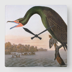 Audubon: Double Crested Cormorant Quadratische Wanduhr