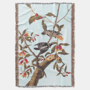 Audubon Downy Woodpecker Couple mit Blume Decke