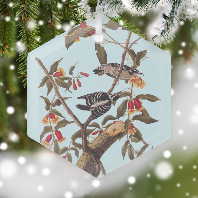 Audubon Downy Woodpecker Couple mit Blume Ornament Aus Glas (Audubon Downy Woodpecker Glass Ornament on snow covered Christmas tree)