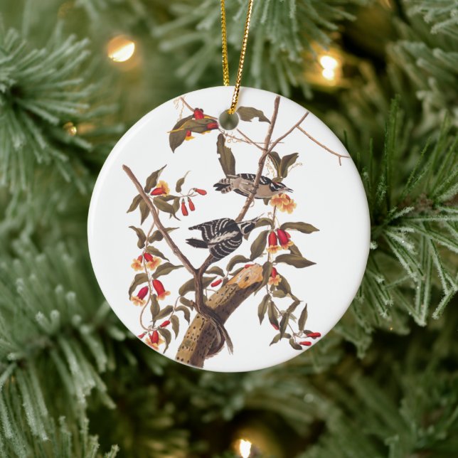 Audubon Downy Woodpecker Pair Keramikornament (Baum)