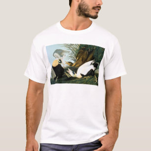Audubon: Eiderenten-Ente T-Shirt