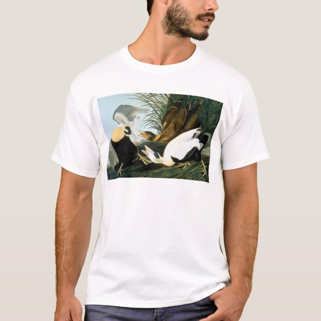 Audubon: Eiderenten-Ente T-Shirt (Vorderseite)