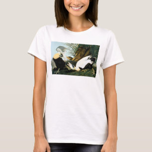 Audubon: Eiderenten-Ente T-Shirt