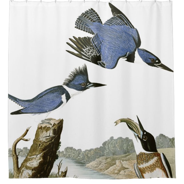 Audubon Eisvogel-Vogel-Tier-Duschvorhang Duschvorhang (Vorderseite)