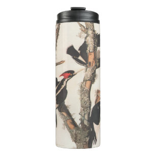Audubon Elfenbeinspecht Thermosbecher