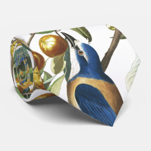 Audubon Florida Jay-Vogel-Tier-Tier-Krawatte Krawatte