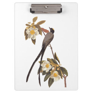 Audubon Fork-Tails Flycatcher Bird Vintage Kunst Klemmbrett