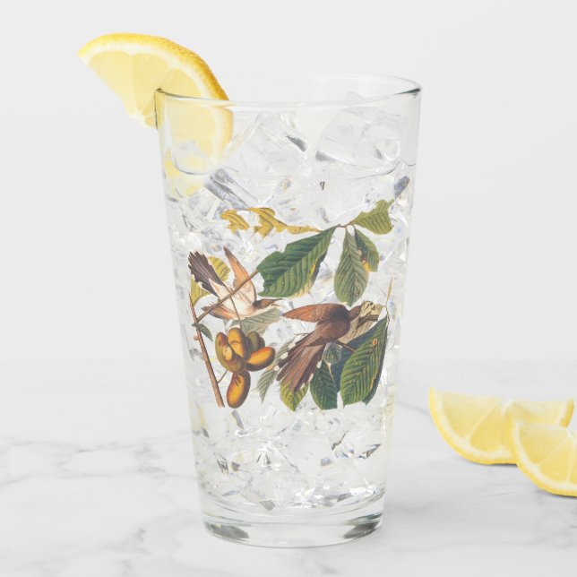 Audubon-Gelb-Kuckucksumpfe in Obstbaum Glas (Vorderseite Ice)