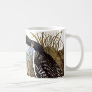 Audubon: Gemeiner Loon Tasse