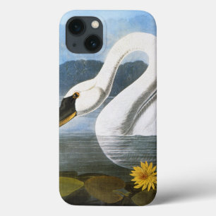 Audubon: Gemeiner Schwan Case-Mate iPhone Hülle