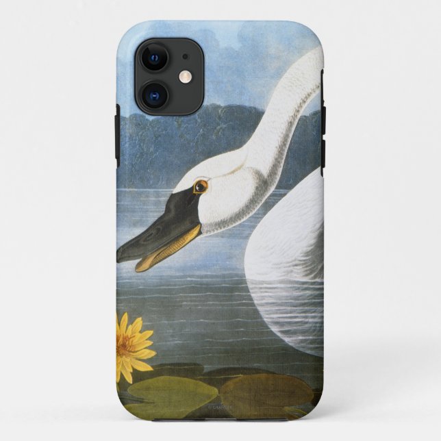 Audubon: Gemeiner Schwan Case-Mate iPhone Hülle (Rückseite)