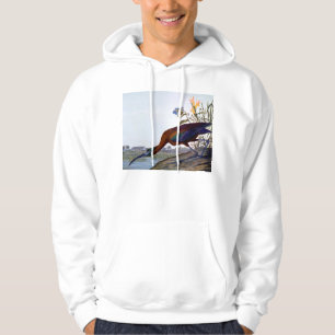 Audubon: Glattes IBIS Hoodie
