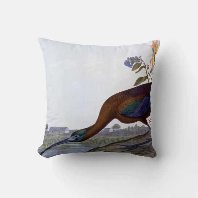 Audubon: Glattes IBIS Kissen (Vorderseite)