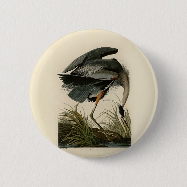 Audubon Graureiher-Sumpfvogel Button (Vorderseite)