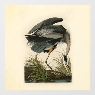 Audubon Graureiher Sumpfvogel Fensteraufkleber