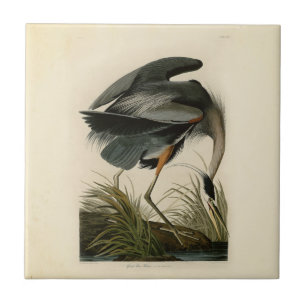 Audubon Graureiher-Sumpfvogel Fliese