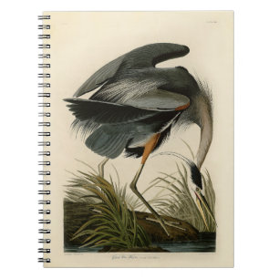 Audubon Graureiher Sumpfvogel Notizblock