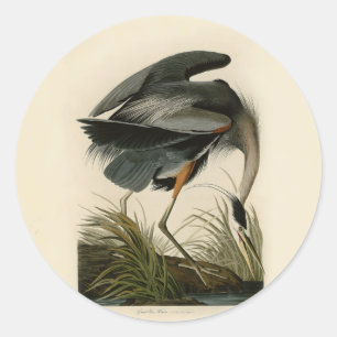 Audubon Graureiher Sumpfvogel Runder Aufkleber