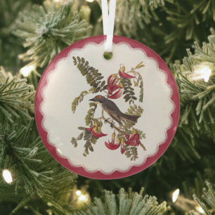 Audubon Gray Kingbird Ornament Aus Glas