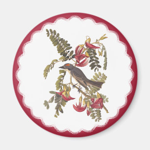 Audubon Gray Tyrant Bird Vintages Buchzeichen Kuns Magnet