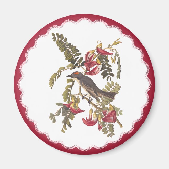 Audubon Gray Tyrant Bird Vintages Buchzeichen Kuns Magnet (Vorne)