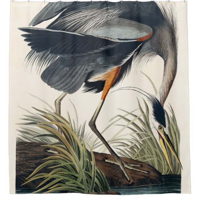 Audubon Great Blue Heron 1834 Plate CCXI Duschvorhang (Vorderseite)