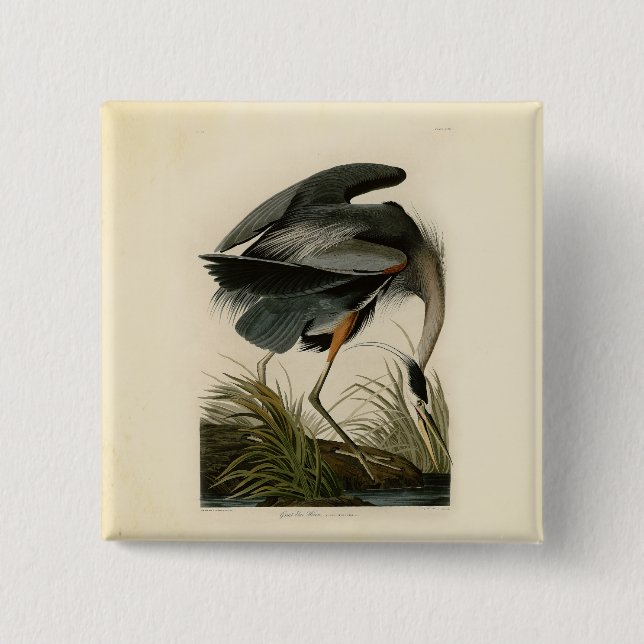 Audubon Great Blue Heron Marsh Bird Button (Vorderseite)